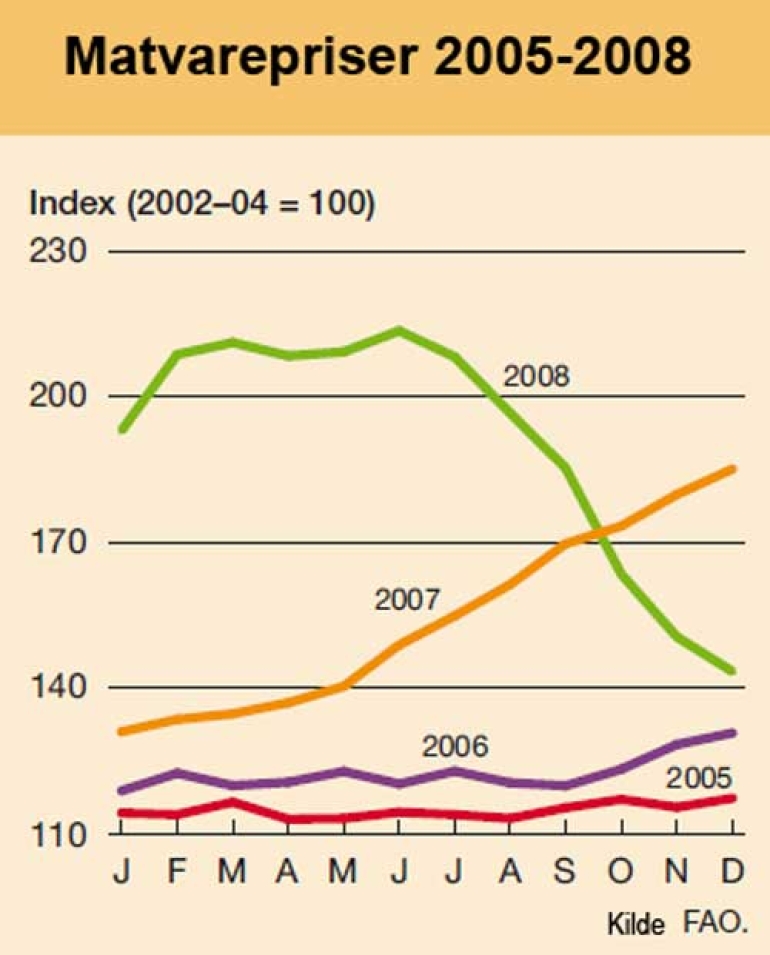 Graf som viser prisutviklingen på matvarer, 2005-2008