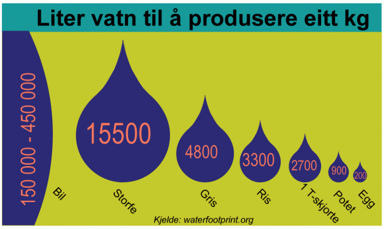Illustrasjon som viser hvor mange liter vann som trengs for å produsere 1kg med ...