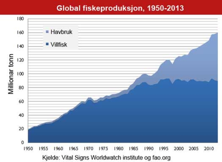 Oversikt som viser det globale fiskeproduksjonen fordelt på villfisk og havbruk