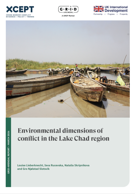 Environmental dimensions of conflict in the Lake Chad region | NUPI