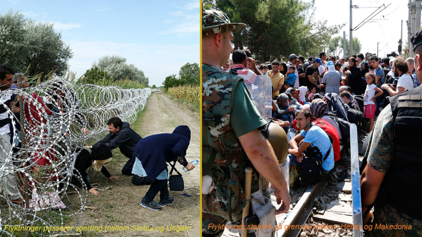 Bilder av flyktninger. 