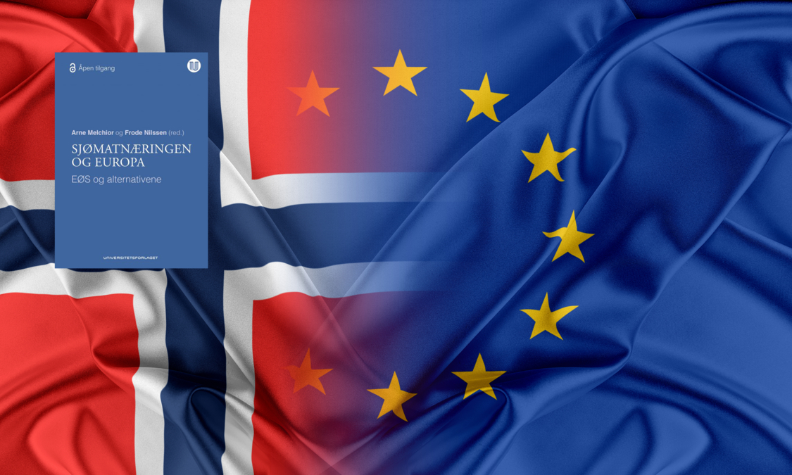 Bildet viser det norske flagget og EU-flagget som smelter sammen, med en blå bokforside lagt oppå.