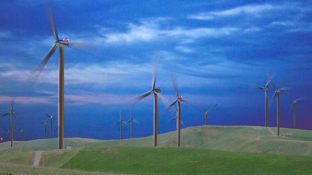 The image shows a windmill park